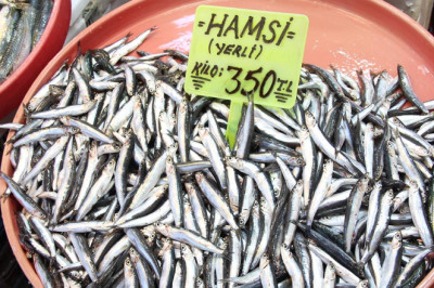 Av Yasağı Kalktı, Yalova'da Tezgahlar Şenlendi!