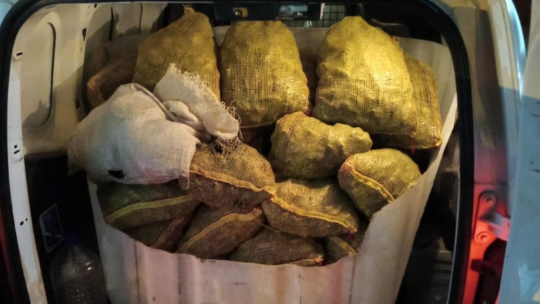 Armutlu’da 500 Kilo Kaçak Midye Ele Geçirildi