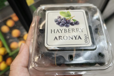 Yalova’nın Aronyası Çanakkale’den mi Geliyor?