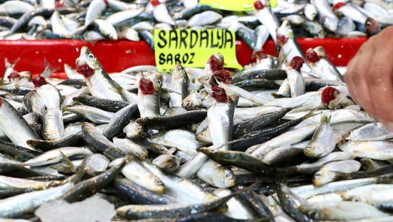 “Sardalya Hafızaya İyi Geliyor”