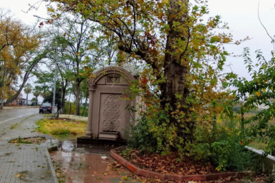 Faruk Tezcan; Atamın Çınarlı Yolu Sonsuza Dek Yaşatılmalı