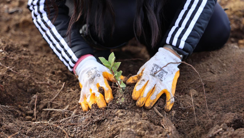 Uludağ Elektrik’ten Doğa Dostu Çözüm
