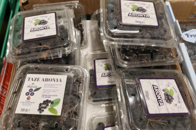Yalova Aronyası Kocaeli’de Satılıyor