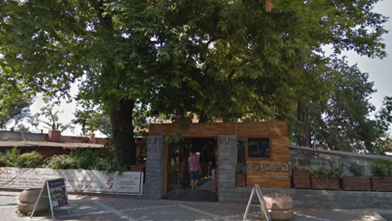 Yalova Belediyesi’nden Anıt Ağaç Tepkisi: “Doğal ve Kültürel Hafızamıza Zarar Verildi”