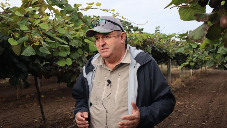 Don Zararı Sonrası Hurma Bahçelerinde Yeniden Doğuş