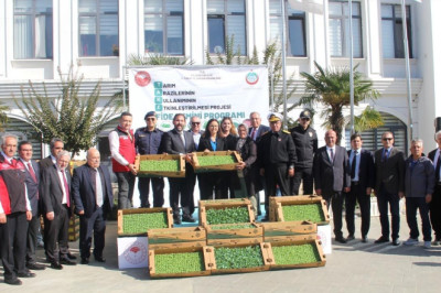 Çiftçilere 428 Bin Adet Kıvırcık ve Pazı Fidesi Dağıtıldı