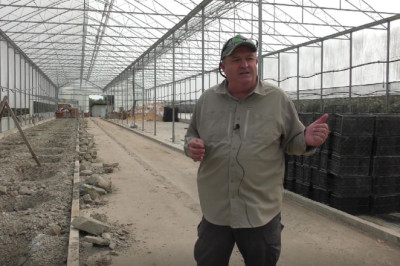 Yalova’da Bodur İncir Heyecanı: “Bizim İçin Ufak Bir Adım, Bölgemiz İçin Büyük Bir Umut”