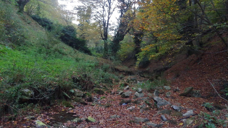 Korkutan Görüntü: Kurtköy Deresi’ndeki Gözeler Kuruyor!