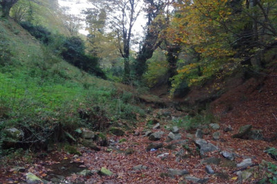 Korkutan Görüntü: Kurtköy Deresi’ndeki Gözeler Kuruyor!