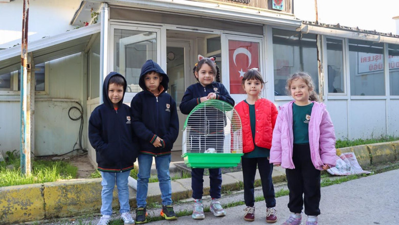 Ginepig Kısa Sürede Sahiplendirildi