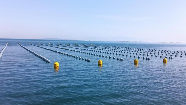 Gıda Zehirlenmesi ve Kaçak Midye Gerçeği