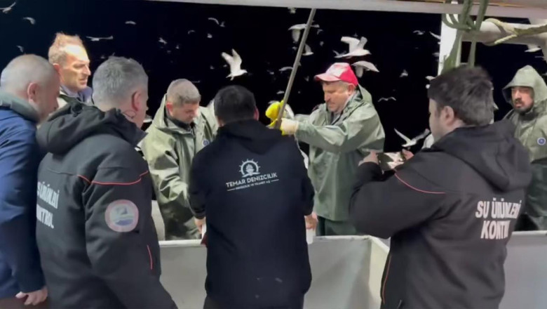 Marmara Denizi’nde 7/24 Hamsi Denetimi