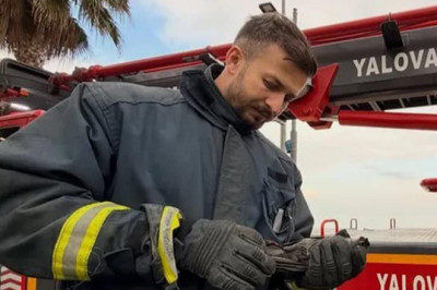 Ağaçta Mahsur Kalan Yaralı Karga İçin İtfaiye Seferber Oldu