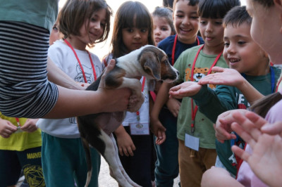 ÇİP VE KARNE UYARISI