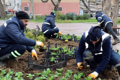 YALOVA BELEDİYESİ’NDEN YOĞUN MESAİ