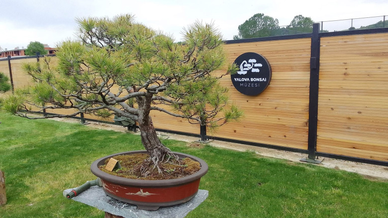 ‘YALOVA’NIN KÜLTÜR TURİZMİ BÜYÜYOR’