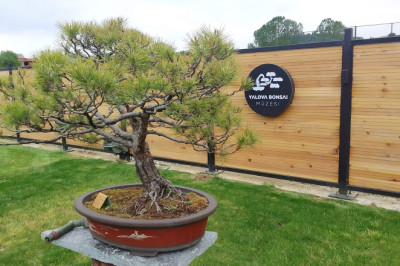 ‘YALOVA’NIN KÜLTÜR TURİZMİ BÜYÜYOR’