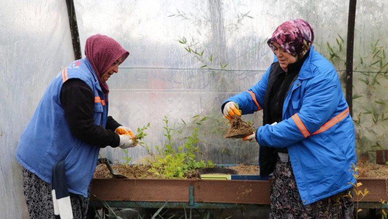 PEYZAJ BİTKİLERİ ÜRETİMİ SÜRÜYOR