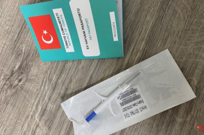 Yalova İl Tarım’dan Evcil Hayvan Sahiplerine Çip Uyarısı: Son Tarih 31 Aralık 2025