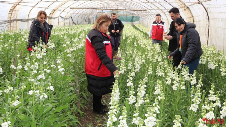 Şebboy Üretiminde Türkiye Birinciliği Yalova’nın