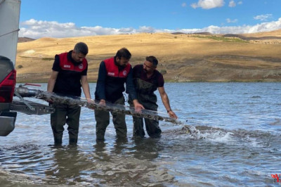 Türkiye Nüfusu Kadar Balık Deniz ve Göllere Bırakıldı