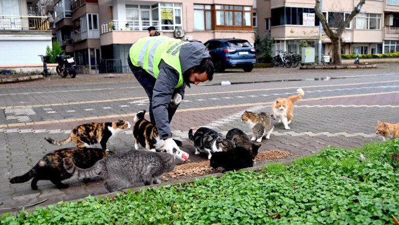 CAN DOSTLARIMIZ UNUTULMADI