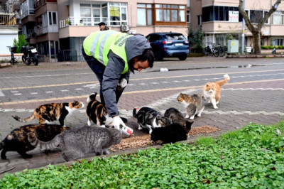 CAN DOSTLARIMIZ UNUTULMADI