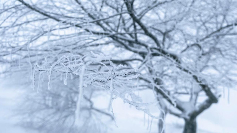 Höyüktepe’de Kar Keyfi