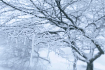 Höyüktepe’de Kar Keyfi
