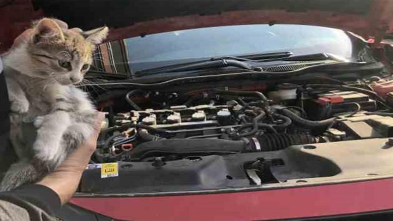 Yalova Belediyesi’nden Can Dostlar İçin Vatandaşlara Kritik Uyarı