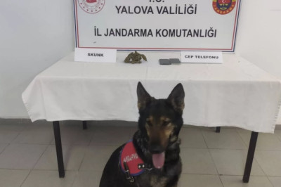 KADIKÖY’DE UYUŞTURUCU OPERASYONU