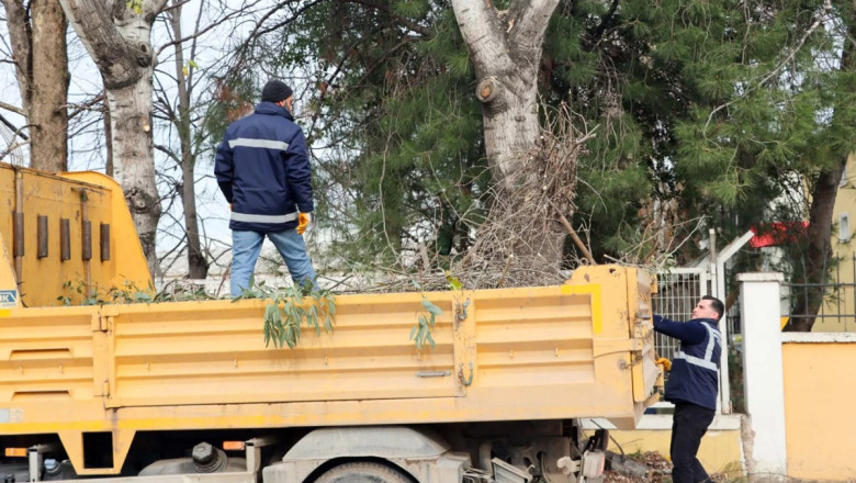 KENT GENELİNDE BUDAMA ÇALIŞMASI