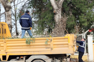 KENT GENELİNDE BUDAMA ÇALIŞMASI