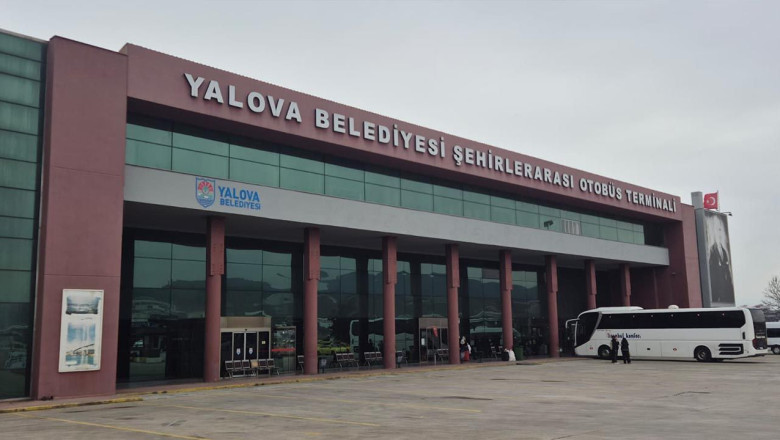 Yalova Terminali’nde İlginç Görüntüler: Büyükbaş Hayvanlar Otladı