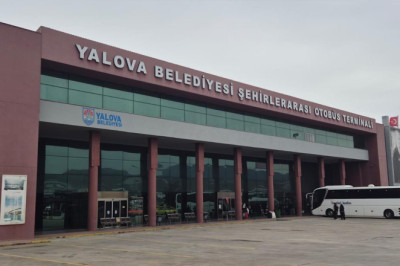 Yalova Terminali’nde İlginç Görüntüler: Büyükbaş Hayvanlar Otladı