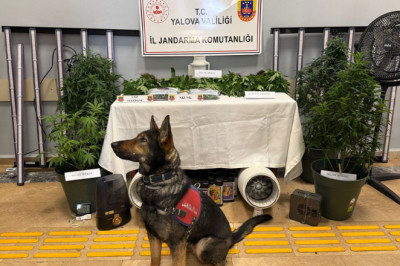 Evden Uyuşturucu Serası Çıktı