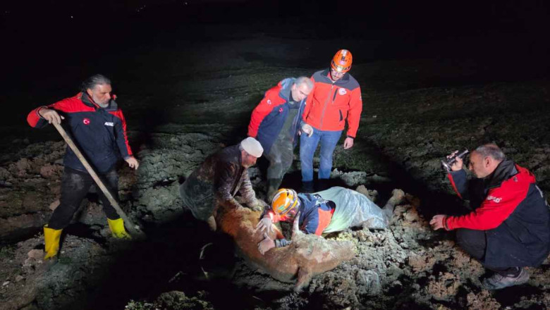 MAHSUR KALAN VATANDAŞ VE HAYVAN KURTARILDI