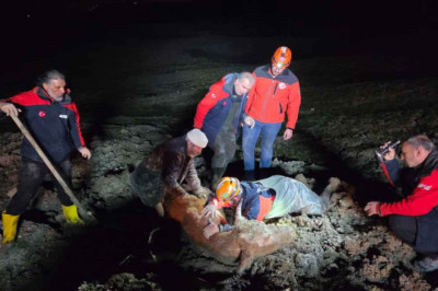 MAHSUR KALAN VATANDAŞ VE HAYVAN KURTARILDI