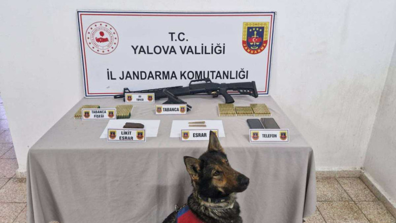 ÇINARCIK’TA UYUŞTURUCU VE SİLAH BASKINI