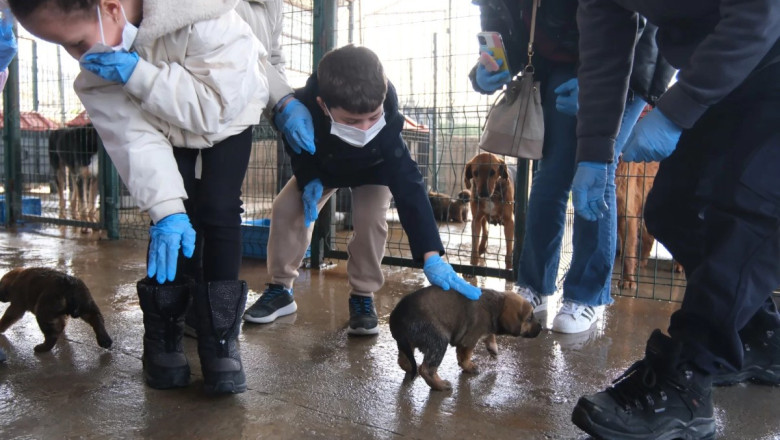 ÇİFTLİKKÖY’DE SOKAK HAYVANLARI EMİN ELLERDE