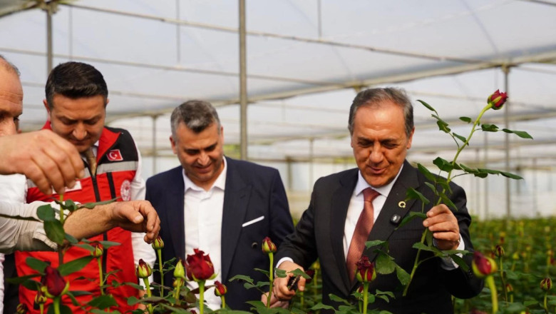 KESME GÜL ÜRETİCİLERİNE ZİYARET