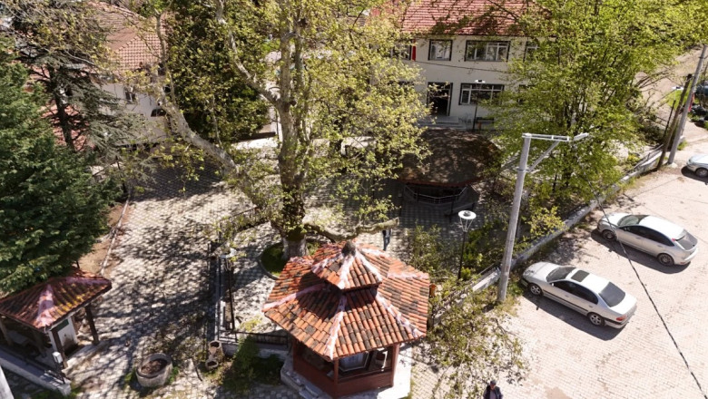 ANIT AĞAÇLAR KORUMA ALTINDA!