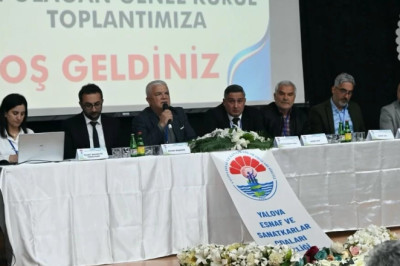 BOZKURT GÜVEN TAZELEDİ