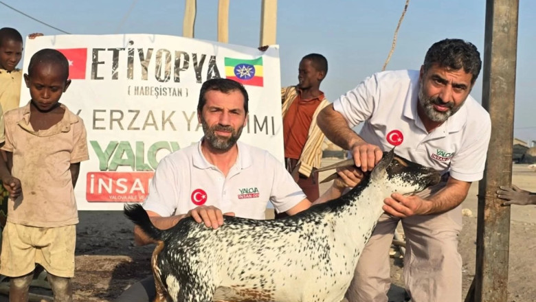 YALOVA’DAN YURT DIŞINA KURBAN KÖPRÜSÜ