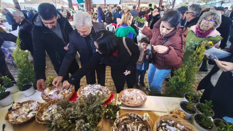 ATA TOHUMLARI TÜRKİYE’NİN DÖRT BİR YANINA YAYILIYOR