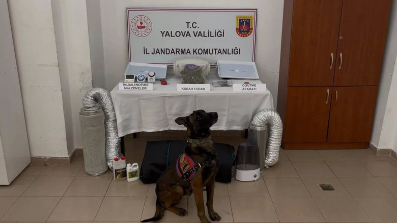 ALTINOVA’DA UYUŞTURUCU OPERASYONU