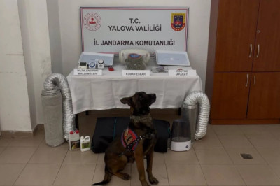 ALTINOVA’DA UYUŞTURUCU OPERASYONU