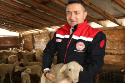 KURBAN BAYRAMI ÖNCESİ TÜM HAZIRLIKLAR TAMAMLANDI