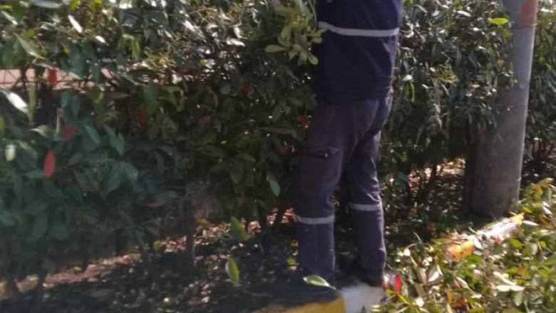 ALTINOVA BELEDİYESİ BAYRAMA HAZIR