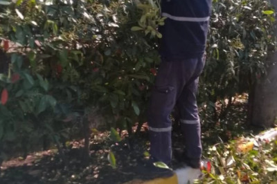 ALTINOVA BELEDİYESİ BAYRAMA HAZIR
